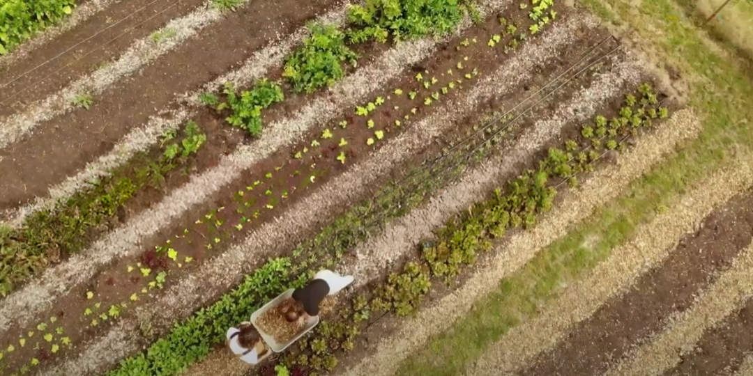 Vidéo de présentation du PEPR SAMS