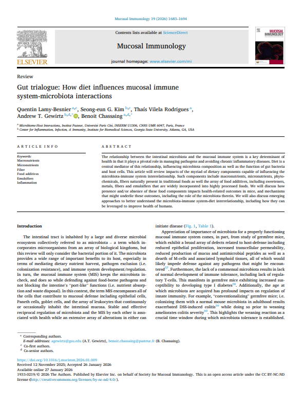 Lamy-Besnier et al. 2026 Mucosal Immunology